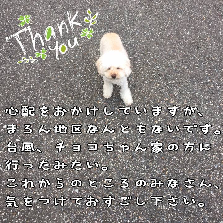 Ddf3a63e b3e1 4726 8d58 2b796173a0f2