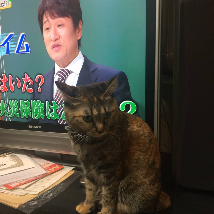 Ddf42624 7b03 4e7e b028 fbe18e52a5b9