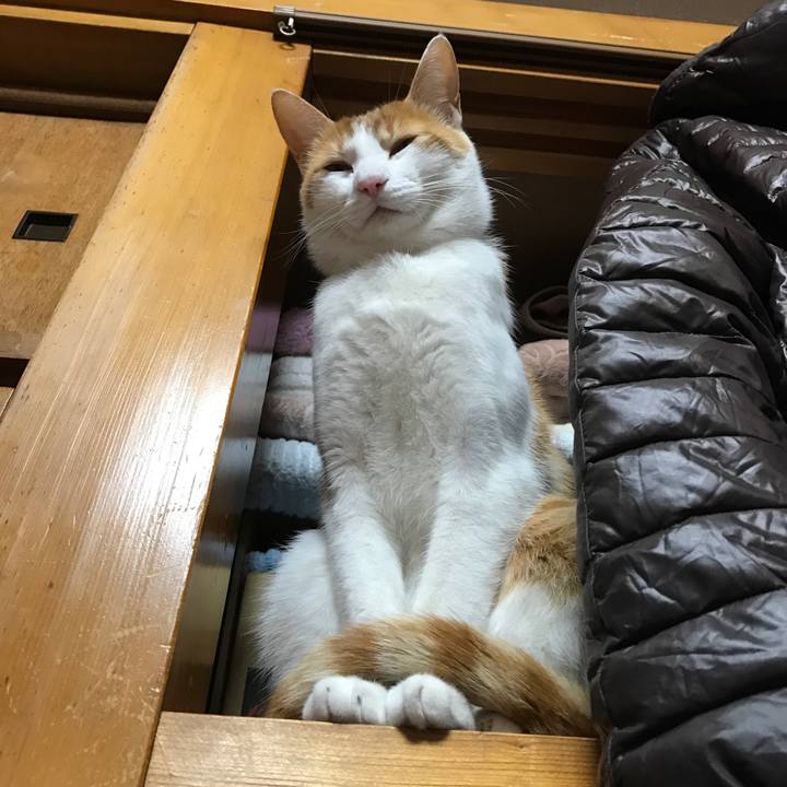 Ddf42f3a fa1e 4a37 b551 86c1030b9e7d