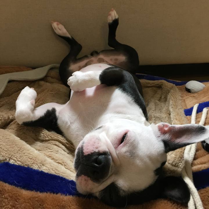 Ddf468cd 877f 47c1 9253 dbc412b717b2