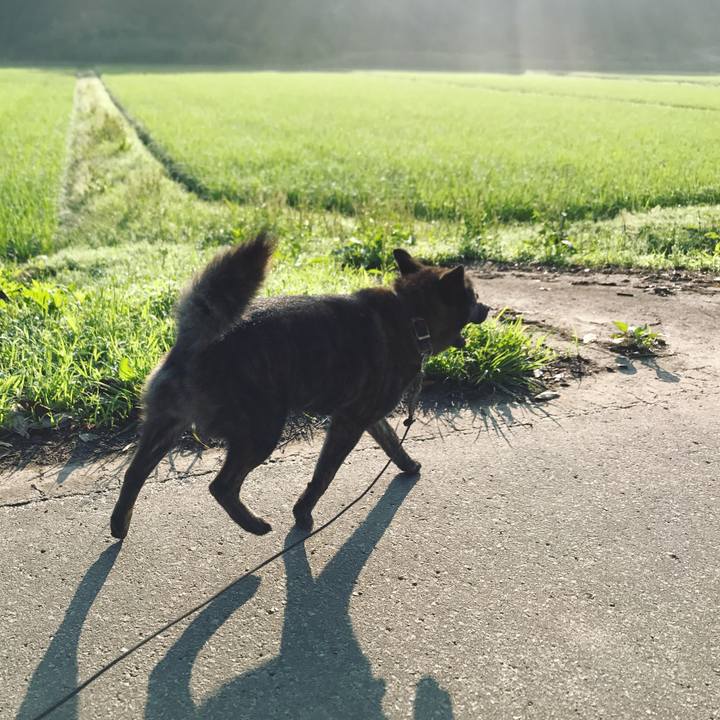 Ddf4bc05 aed4 4cb5 8b53 ccc1eced5cb1