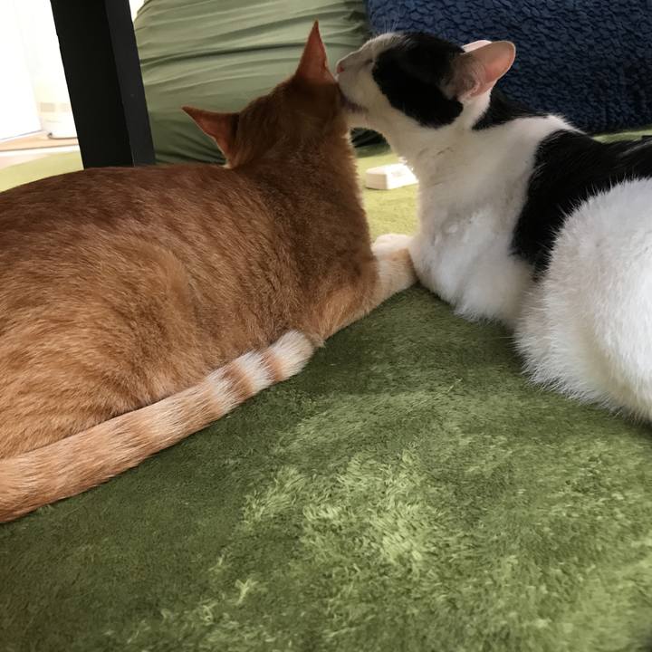 Ddf4c6aa 70c2 431f 9f6d ca78bb78e1b7