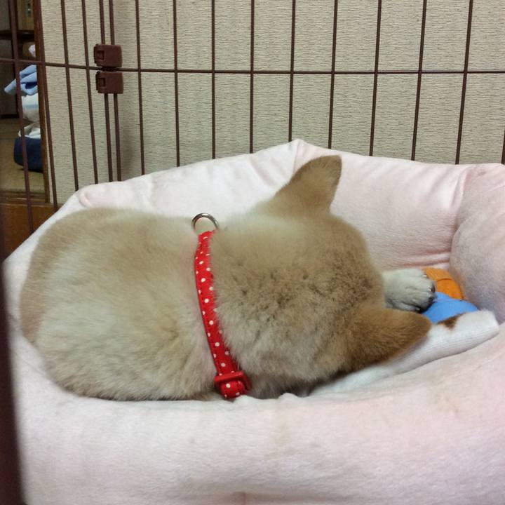 Ddf5768f f888 4118 b41b 76cd008ef07c