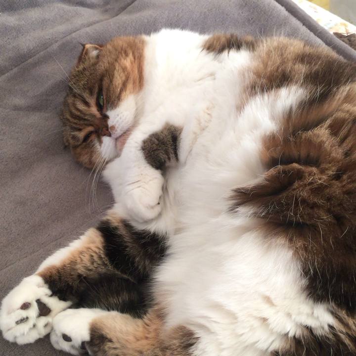 Ddf60e24 fa48 480a a537 feebd09a6f74