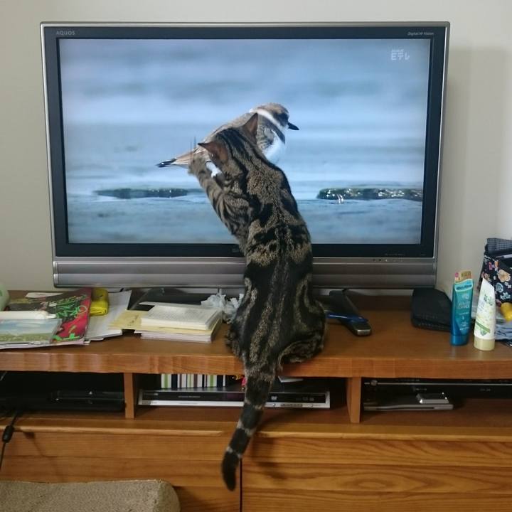 Ddf64b65 6677 4c5b 9e88 9aaa8ab30f44