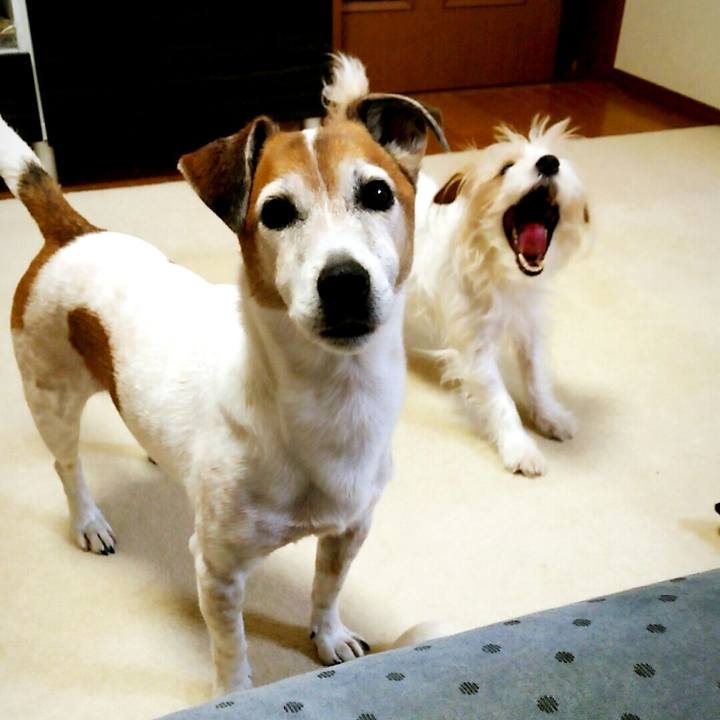 Ddf66787 d4e1 40fa a010 6f40f0039d10