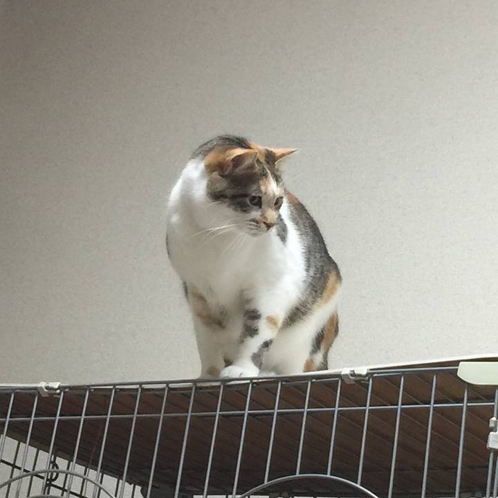 Ddf67f6b e00e 4893 a631 63a137196b63