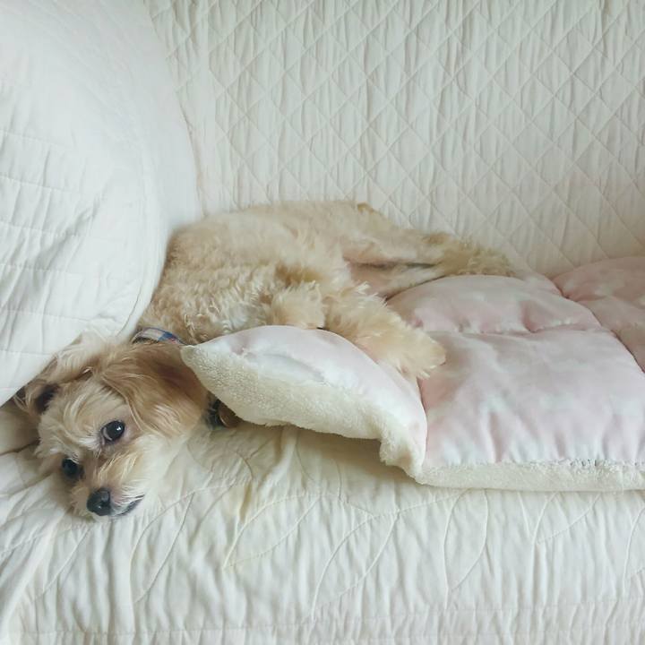 Ddf686aa 5cf1 46f1 978d 6ede18f3f099