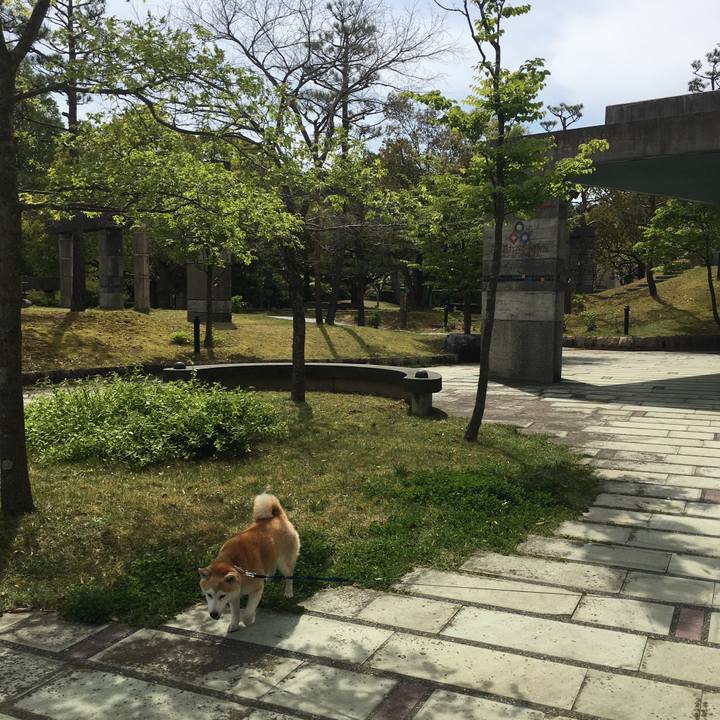 Ddf6e147 c00a 43f2 a503 912683e1b20b