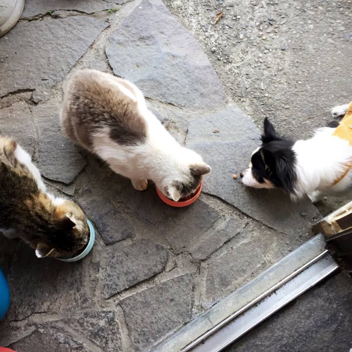 Ddf774a7 69db 4c20 9141 56235040fa5c