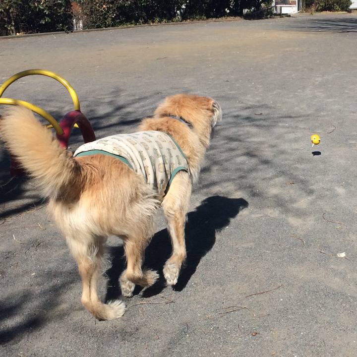 Ddf79d12 6be8 4014 9c68 40e1711d5918