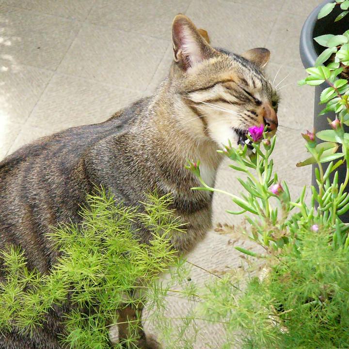 Ddf7bfd0 088b 43ab 96d8 8822aada2f88