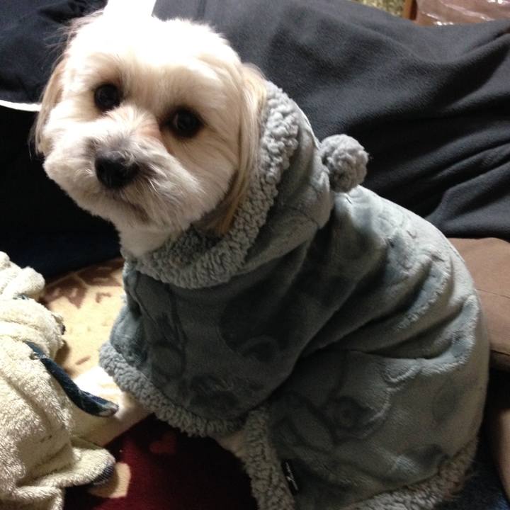 Ddf7c4bc 3df9 4f52 9cc8 516648d9435f