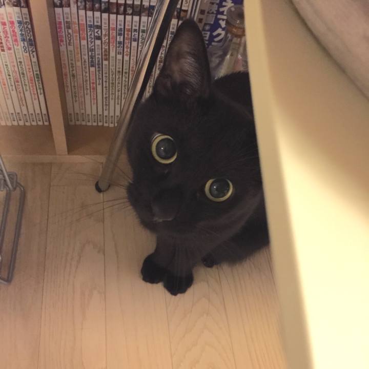 Ddf7cc52 fde8 49cf 820b a7f30da9ea4c