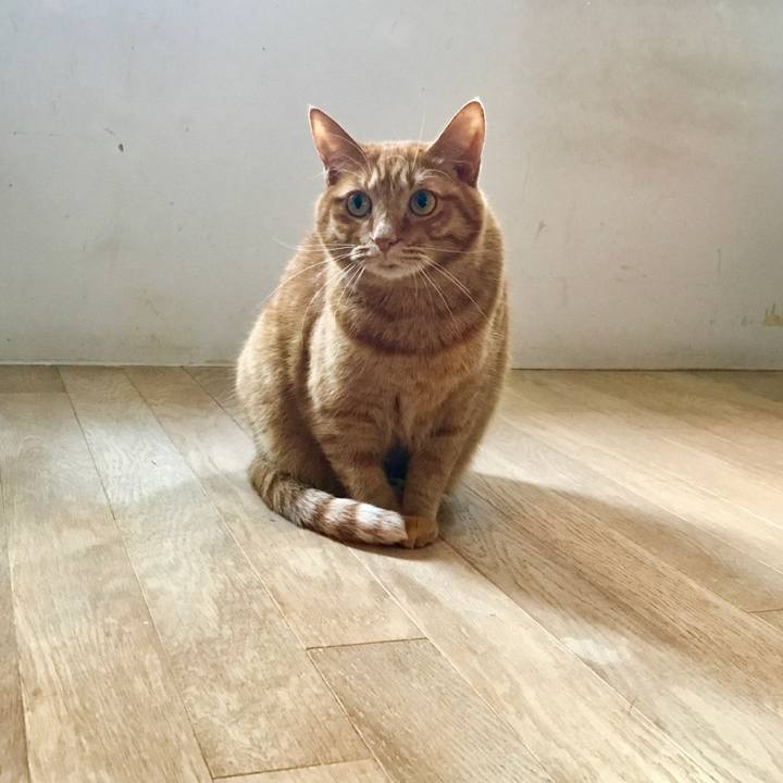 Ddf821d5 59e8 4416 b0c2 eee111bdd547