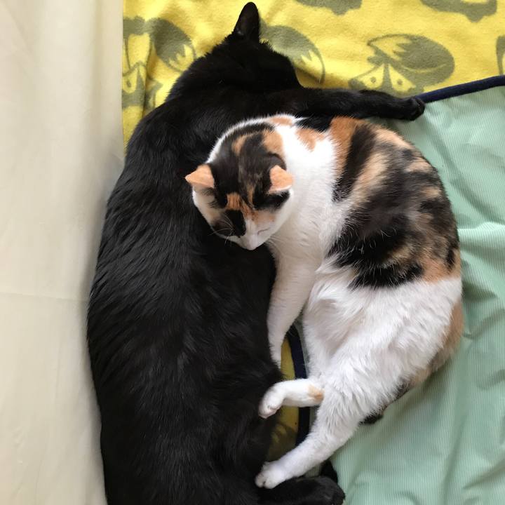 Ddf87eac c88d 4f5c 914e 7a4cfada3c9f