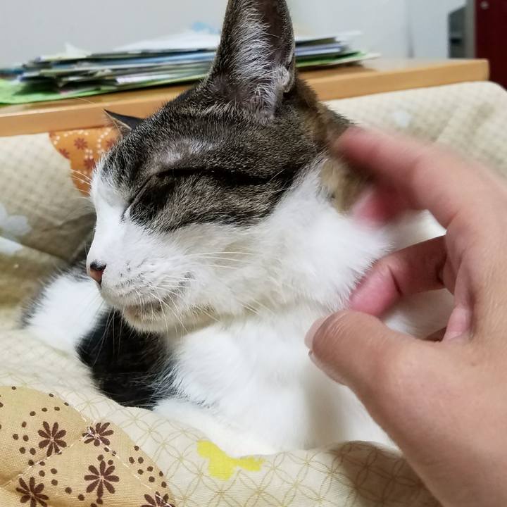 Ddf8e49a a25f 41e5 b79a a2448cd3d337