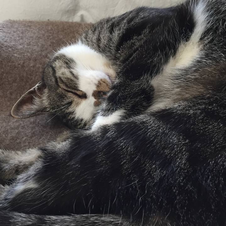 Ddf95f05 0248 4516 8195 4bdf3e614787