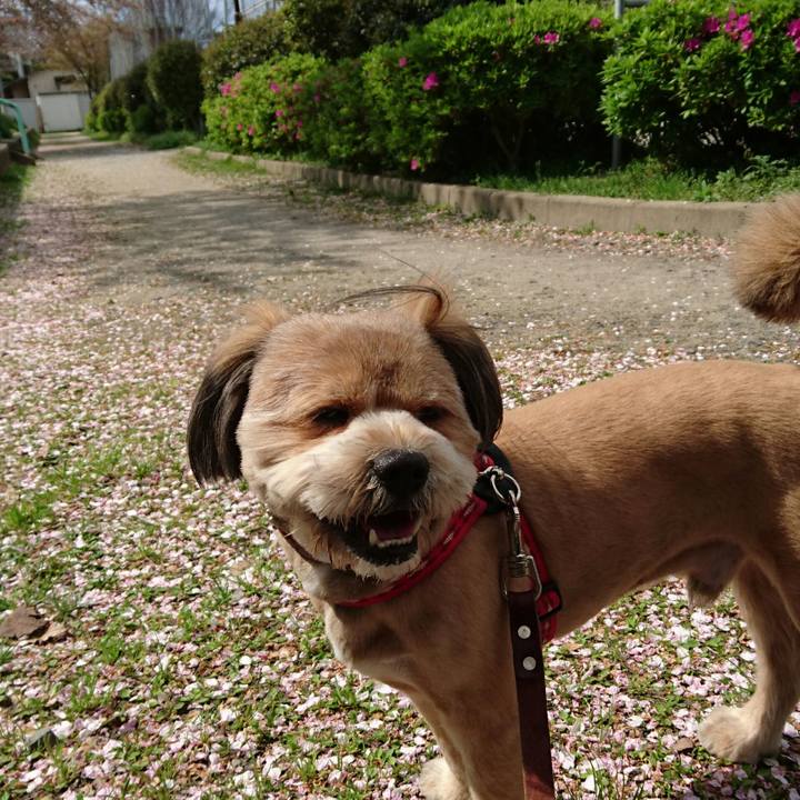 Ddf98c20 b133 4f00 ae50 d74ea98203e3