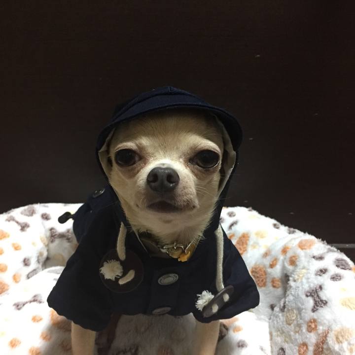 Ddf9b211 3675 475b a66f 02a610cbc4c7