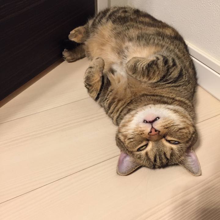 Ddfae781 0d56 495e a97a 2161a5f7cfd4