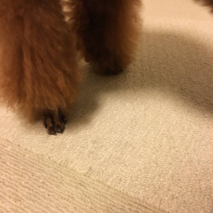 Ddfaec4f dc59 42bc b18f 0bc1c6af49de