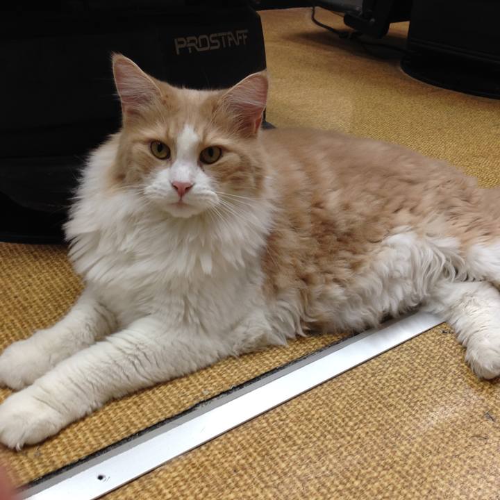 Ddfb017e 05f2 469b b45f be70cad053c6