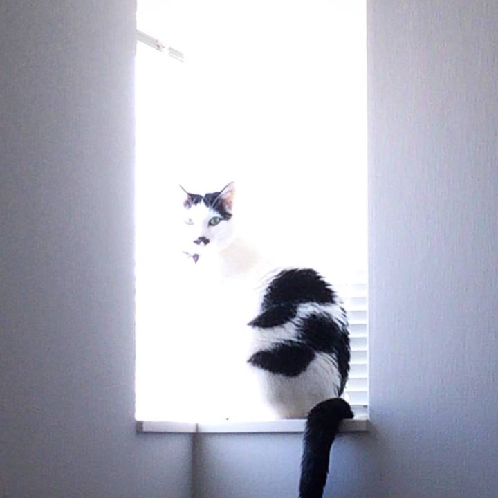 Ddfba380 338b 4ddf 93be 6d14379d8422