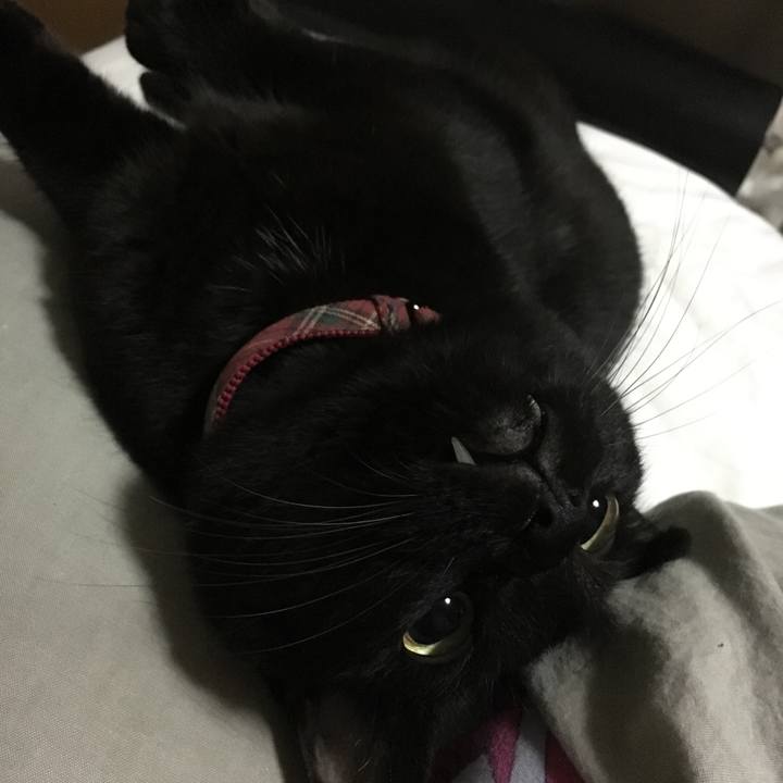 Ddfba8a8 277f 4110 b9c6 666c6fc35be4