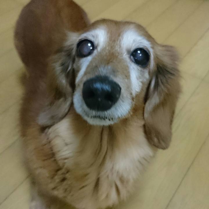 Ddfbde49 99b7 4ae3 acf6 fcfff5fbfa29