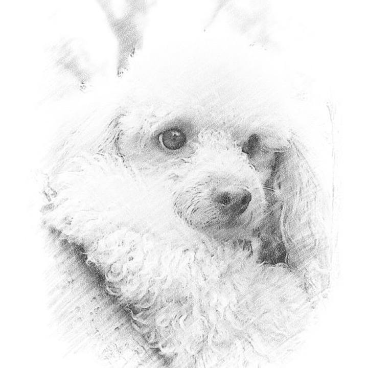 Ddfc4e45 2d62 41be 96e5 ded2ae1e39fa