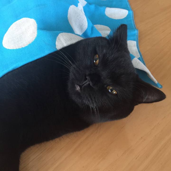 Ddfd46fa 5e25 49b4 865c 60ba020ab621