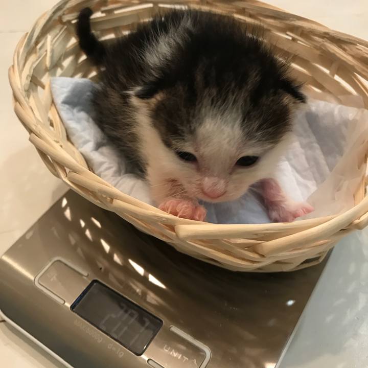 Ddfe59b0 952f 45a1 ba29 36c5b967cb59