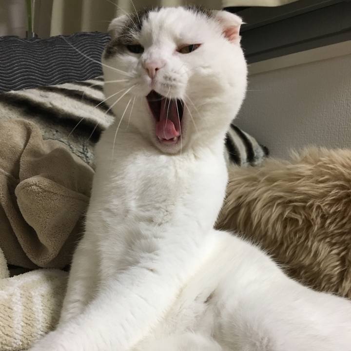 Ddfe6c22 2cff 4ba0 92f8 d701c3d0f846