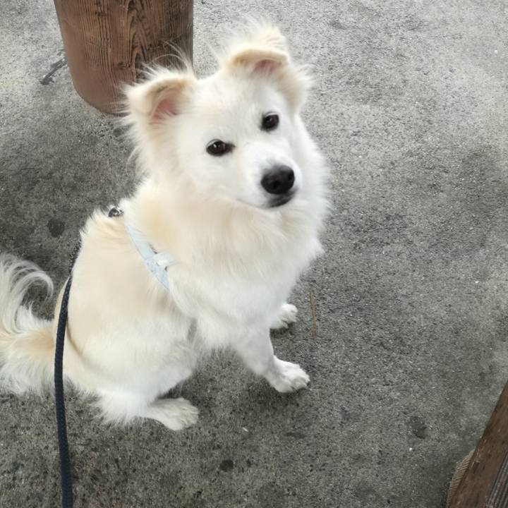 Ddfe8c0a 95ba 46ec a385 54b0bf38ce26