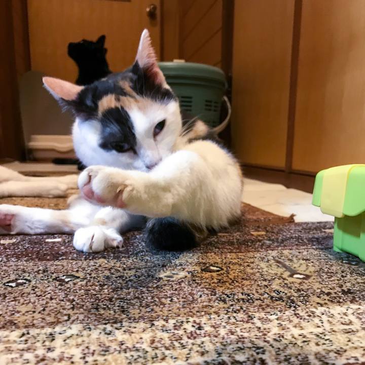 Ddfed38b 67fb 489a b025 3d3cdea0447d