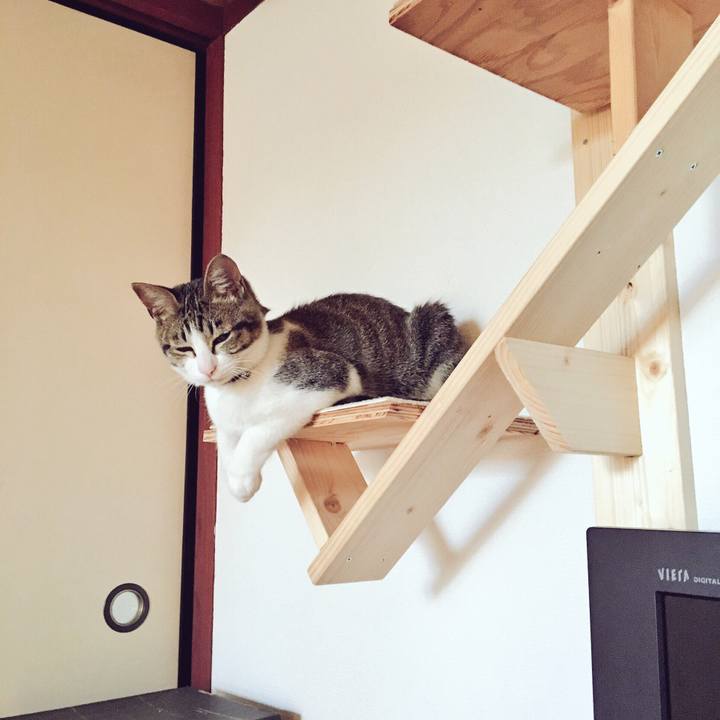 Ddfee499 db8b 4d06 a5bc 81e73f933c3e