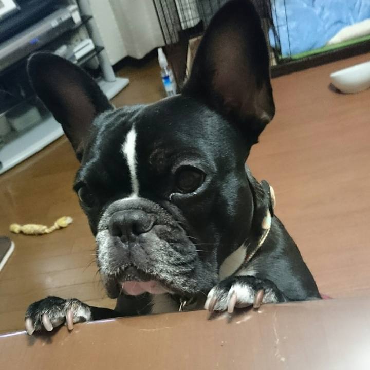 Ddff8acd fba5 4dc4 a5ab bae603eee91d