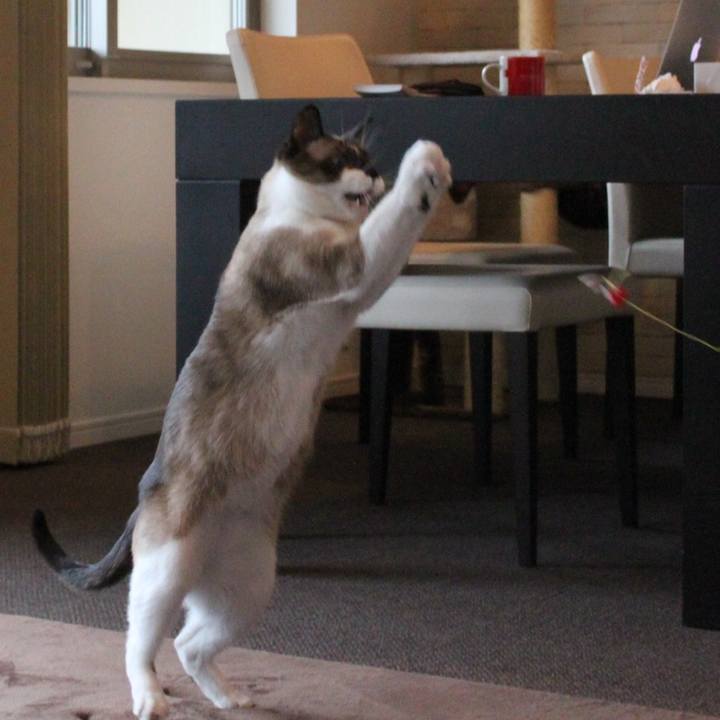 Ddff904e 34d7 4c31 be1a 92ca7efb6a2e