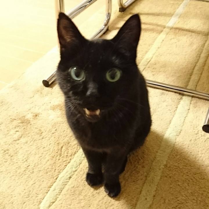 Ddff9415 4c76 4e1a 83c9 edfa23256dee