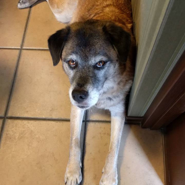 Ddff978f 7e94 4fb2 a962 e7c434fcc32c