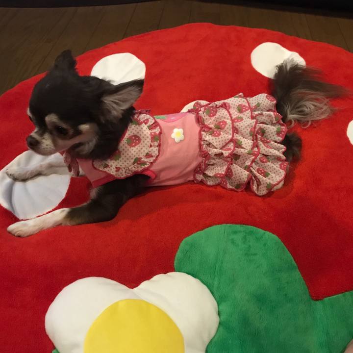 Ddffa959 a186 4307 92b3 3dab5e51c6e6