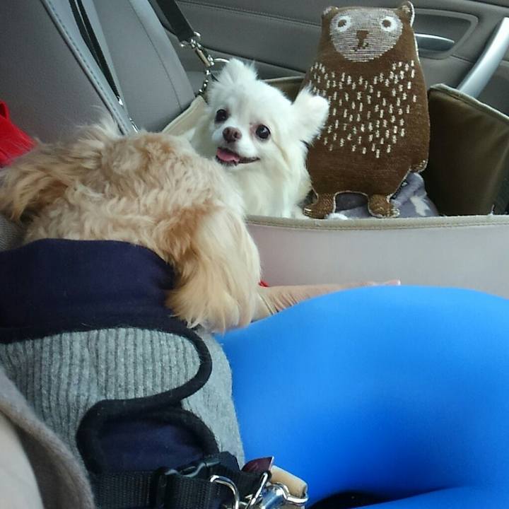 Ddffb181 6215 4575 ab08 f647562479d9