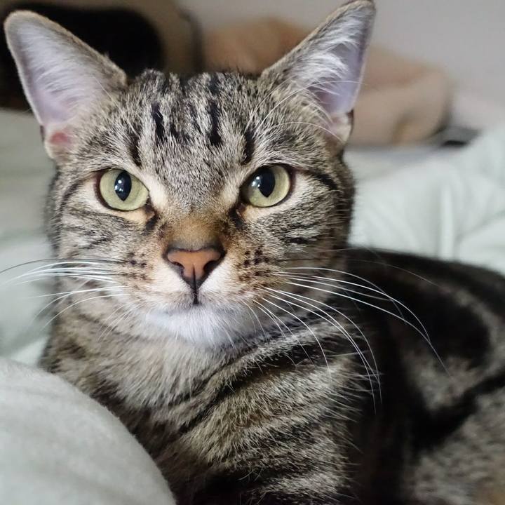 Ddffb655 3813 452f bf7c 678a8b92bf64