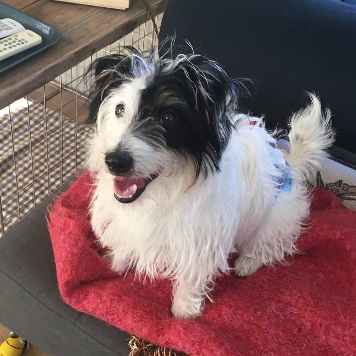 De002331 e795 46bf 91eb 1b7781b15e24