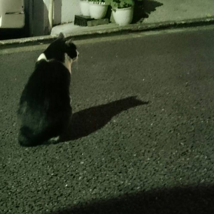 De0151ec 358b 40cc 9d3f e9870414e311