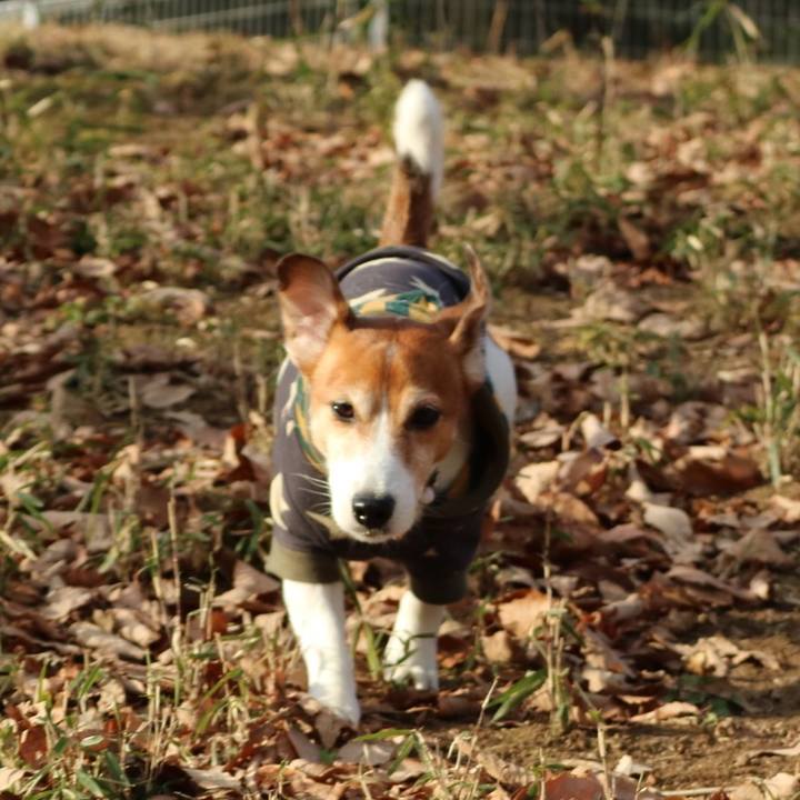 De01a0de 1c9c 4c59 817b 4663b6ad187b