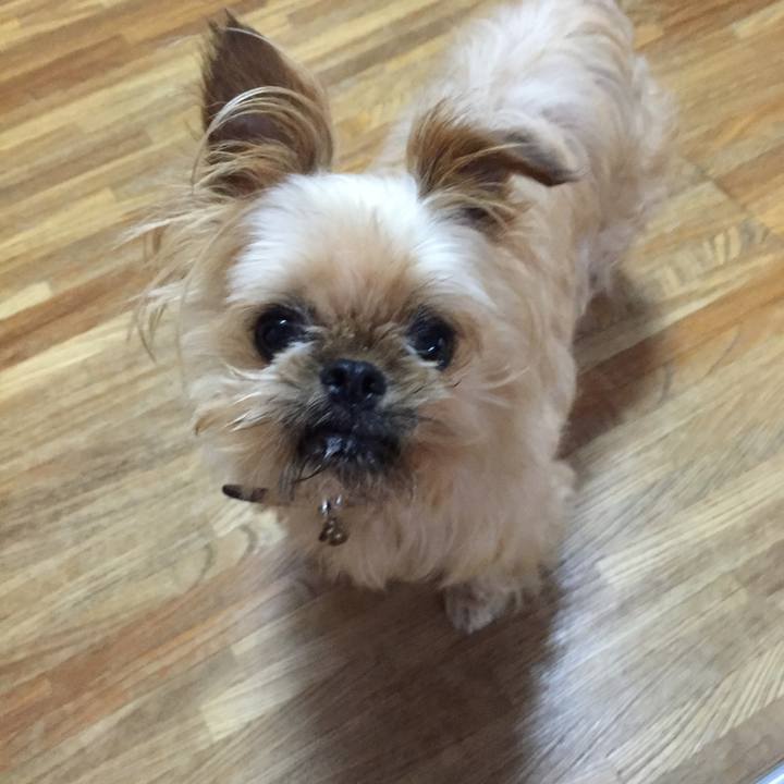 De01c941 1e69 4e45 be19 01b19c9f0ab2