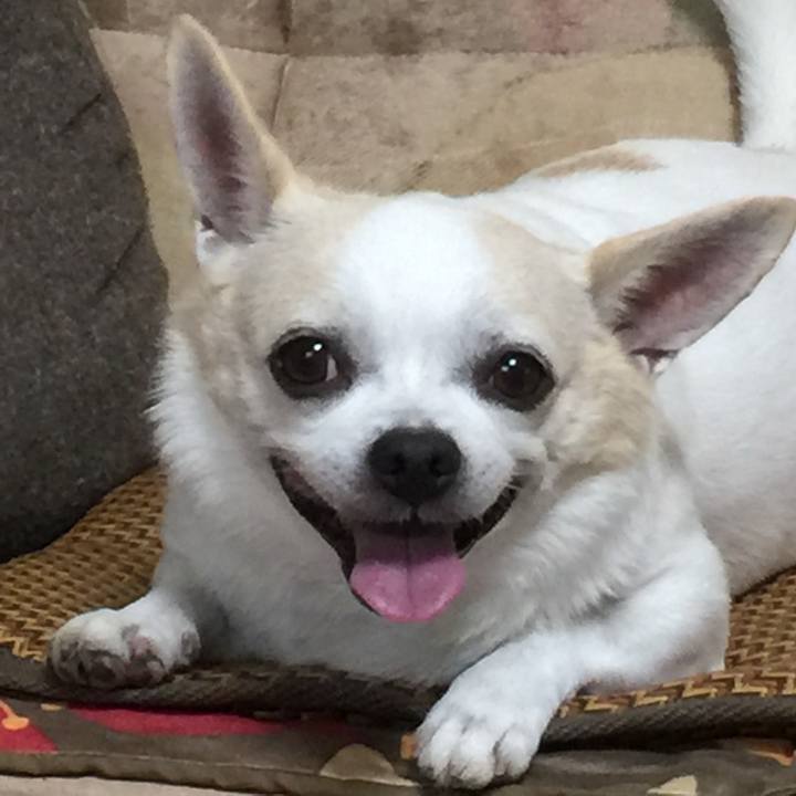 De02816e 665d 497c 90f7 87ba8173d911