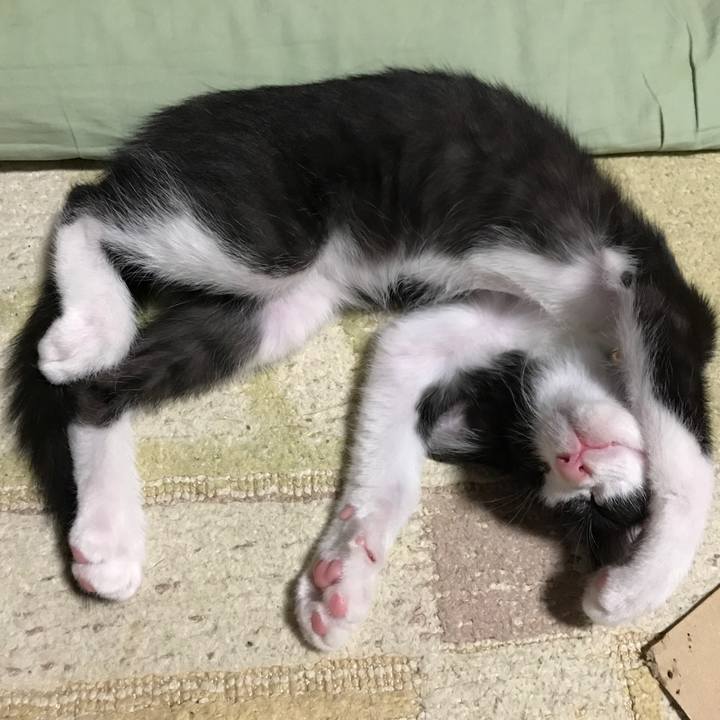 De028301 5a76 4369 9602 1b45284e69b1